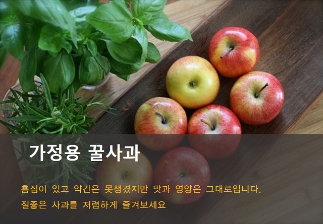 가정용 꿀사과 - 흠집이 있고 약간은 못생겼지만 맛과 영양은 그대로입니다. 질좋은 사과를 저렴하게 즐겨보세요